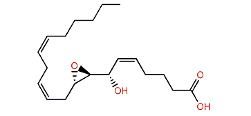 (5Z,7S,8S,9S,11Z,14Z)-8,9-Epoxy-7-hydroxy-5,11,14-eicosatrienoic acid